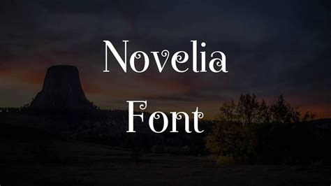 novelai|novelia font free.